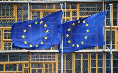 الاتحاد الأوروبي يكشف عن أمر خطير يتعلق بالأزمة اليمنية