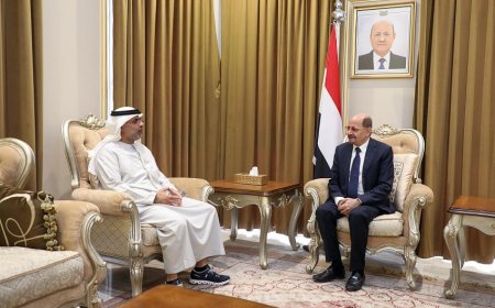 وزير الخارجية يبحث مع السفير الإماراتي العلاقات الثنائية بين البلدين الشقيقين