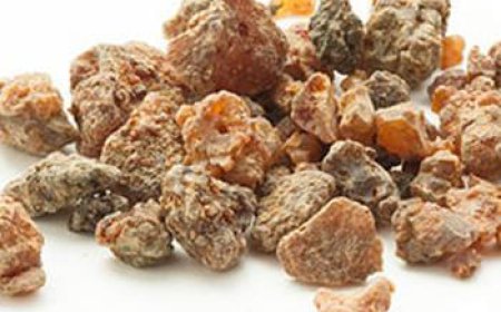 تعرف على فوائد شرب المر على الريق