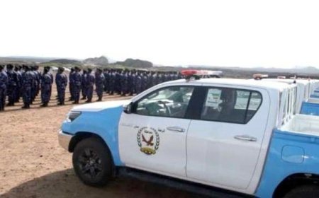 66 بلاغاً و  القبض على 51 متهماً.. حصيلة امس و اليوم في المناطق المحررة .. تفاصيل