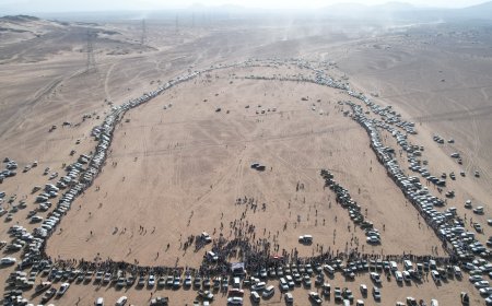 في احتشاد ضخم.. قبائل مذحج وحمير تُعلن النفير وتدعو الحكومة لإطلاق معركة شاملة