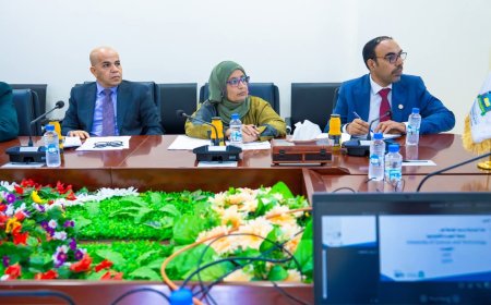 وفقاً لقرار إنشائه.. مجلس الاعتماد الأكاديمي وضمان الجودة يبدأ التقييم الدوري لمؤسسات التعليم العالي