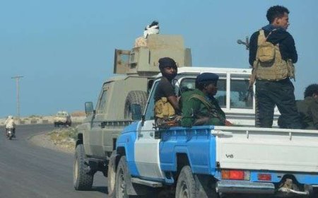 ضبط ثلاث عصابات متورطة في سرقة 15 منزلًا في الخوخة