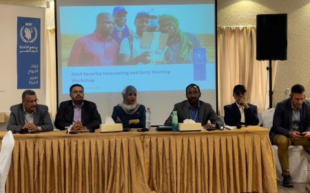 هيئة الطيران المدني تشارك في ورشة العمل التشاورية لمشروع التنبؤ بانعدام الأمن الغذائي والإنذار المبكر