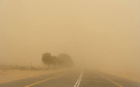 الانذار المبكر.. يحذر من موجة غبار واسعة الانتشار
