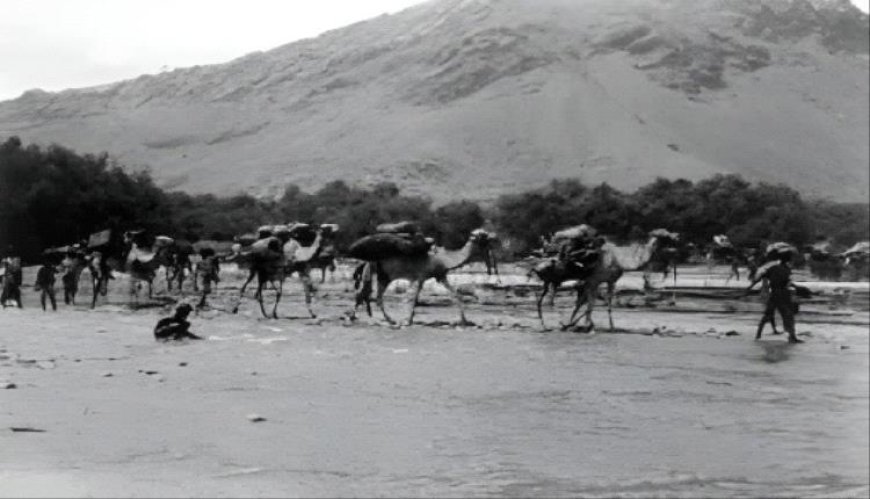 الطريق الى يافع...المحاولات البريطانية لتصوير و مسح سلطنتي يافع منذ القرن التاسع عشر(1-3)