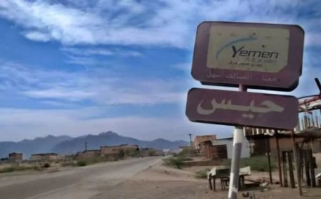 عودة خدمات الاتصالات والإنترنت إلى الخوخة وحيس بعد انقطاع دام 10 أيام