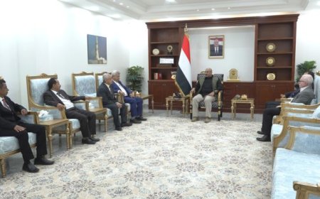 طارق صالح يناقش مع وفد وزاري خطط إنعاش السياحة في المناطق المحررة