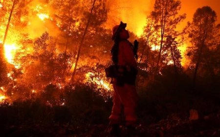 حرائق جديدة تجتاح امريكا و تخرج عن السيطرة .. تفاصيل