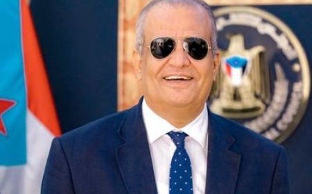 لطفي شطارة: ثلاثة إنجازات حققها المجلس الانتقالي منذ تأسيسه