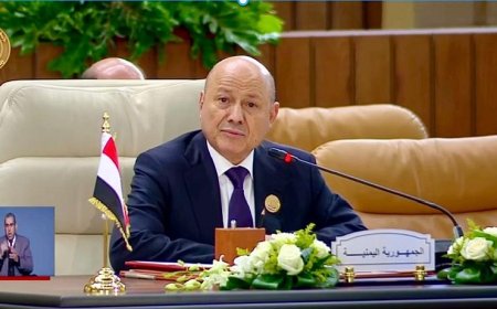 رئيس مجلس القيادة الرئاسي: لا بديل عن الحل العادل للقضية الفلسطينية