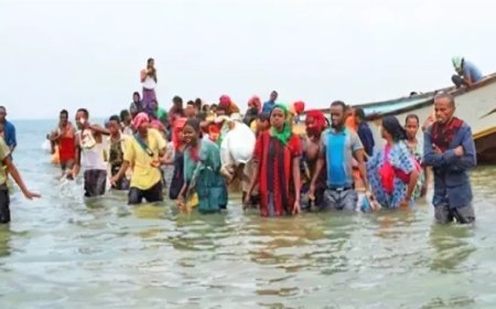 ضبط 43 أجنبيًا في شبوة بعد دخولهم بطريقة غير شرعية