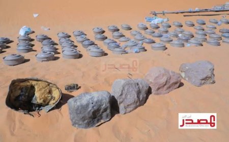 مقتل عاملين في تربية النحل وإصابة آخرين بانفجار لغم في الحديدة