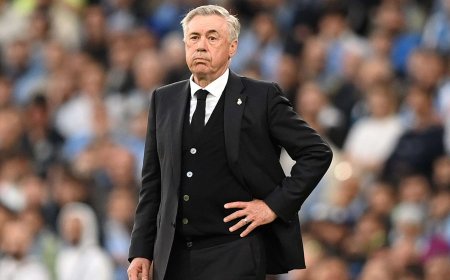 " أن يكون ذبابة " أمنية أنشيلوتي مدرب ريال مدريد !