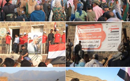 تعز: مجلس المقاومة الشعبية بمديريتي المواسط والصلو يعلن الجاهزية للتحرير