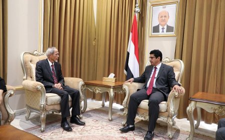 وكيل وزارة الخارجية يلتقي السفير الفيتنامي غير المقيم بمناسبة انتهاء فترة عمله