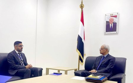 نائب وزير الخارجية يلتقي بعدن رئيس بعثة الهجرة الدولية