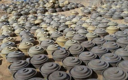انتزاع 1.058 لغماً خلال الأسبوع الأول من مارس زرعتها المليشيات الحوثية الإرهابية