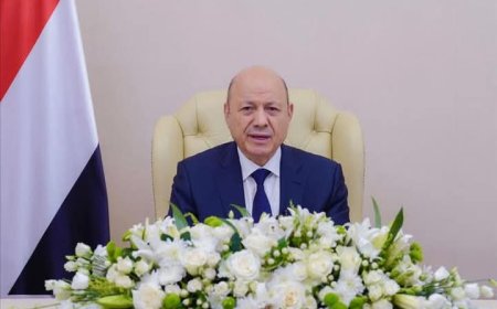 مصدر رئاسي..العليمي سيعقد اجتماعات موسعة في عدن لتعزيز الاصلاحات الاقتصادية