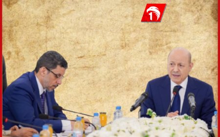 وزير سابق: تمرد الوزراء على رئيس الحكومة ليس عملًا حصيفًا