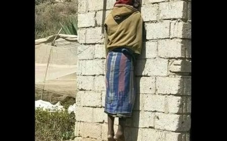 العثور على شخص في مزرعة قات مشنوقا بظروف غامضة في إحدى بلدات محافظة الضالع