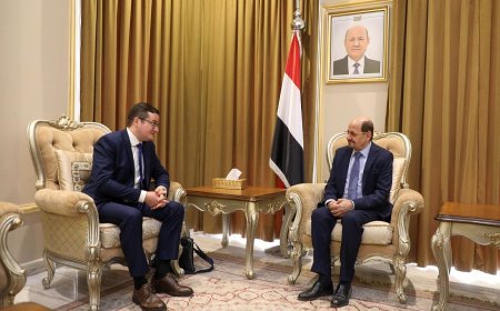 وزير الخارجية يبحث مع القائم بأعمال السفارة الروسية سبل تطوير علاقات التعاون بين البلدين