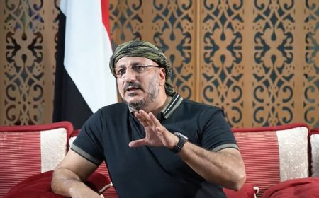طارق صالح..الحوثيون يحشدون نحو مأرب في محاولة لتعويض خسائر إيران في سوريا ولبنان