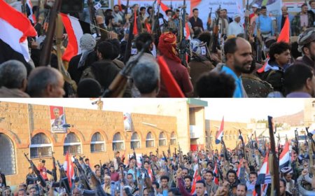 تعز: المقاومة الشعبية في مديرية صالة تعلن جاهزيتها الكاملة للتحرير واستعادة الدولة