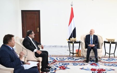 رئيس مجلس القيادة.. يتسلم تقريراً بشأن مستوى تنفيذ التوجيهات الرئاسية للإفراج عن السجناء