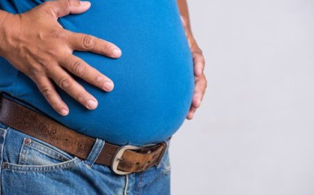 اكتشاف الاجابة على لغز الكرش والسمنة ومقاومة الأنسولين و كيفية العلاج  .. تفاصيل