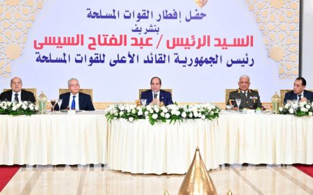 السيسي: مصر تخسر 800 مليون دولار شهرياً بسبب الأوضاع في البحر الأحمر