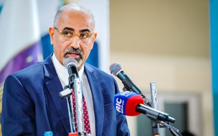 الزبيدي يدعو الى تبني استراتيجية شاملة لحماية ممرات الملاحة الدولية 