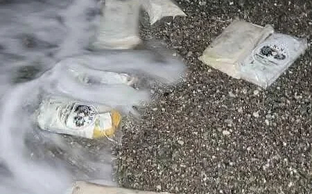 العثور على 2 كجم من مادة الحشيش في ساحل أبين