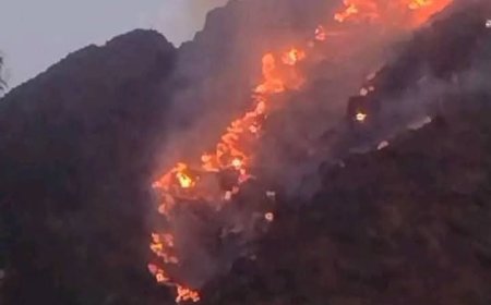 تعز..حريق هائل بجبل صبر ومناشدات للتدخل