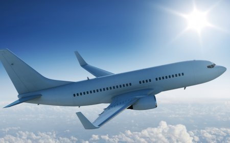 رحلة فريدة من نوعها .. ركاب طائرة يتعرضون للعض ! تفاصيل