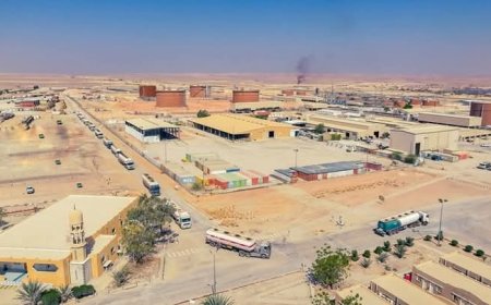 نائب رئيس مجلس القيادة الرئاسي اللواء فرج البحسني