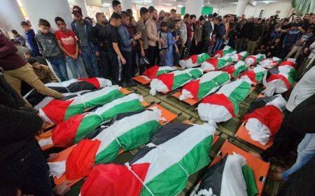 590 شهيدًا في 3 أيام.. الاحتلال يبدأ عملية برية برفح ويواصل حرب الإبادة