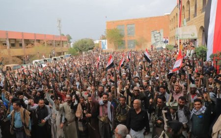 تعز.. المقاومة الشعبية تعلم جاهزيتها لدعم القوات المسلحة في معركة استعادة الدولة