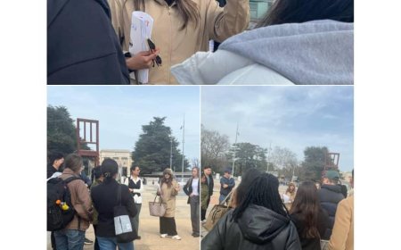 جنيف: الحقوقيون والصحفيون الدوليون يستمعون لتقرير مفصل عن انتهاكات الحوثيين في اليمن ورئيسة الائتلاف تطالب بتحرك دولي عاجل