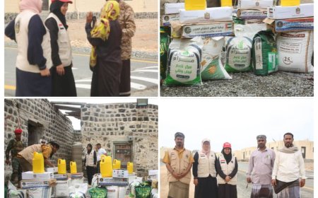 هيئة الإغاثة والأعمال الانسانية بالانتقالي تُطلق حملة إنسانية لدعم أهالي جزيرة ميون في عدن