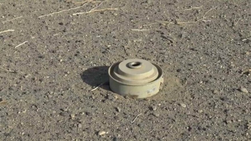 بينهم طفل.. مقتل 4 مدنيين بانفجار لغم حوثي في الدريهمي