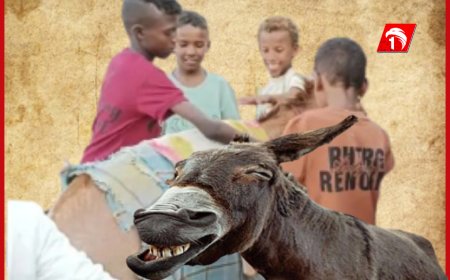 (الحمير) في عدن أصبحت من وسائل الترفيه للأطفال في العيد