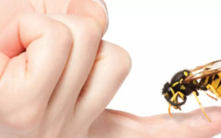 سم نحل العسل .. ما هي فوائده و هل يفضل استخدامه كعلاج ؟