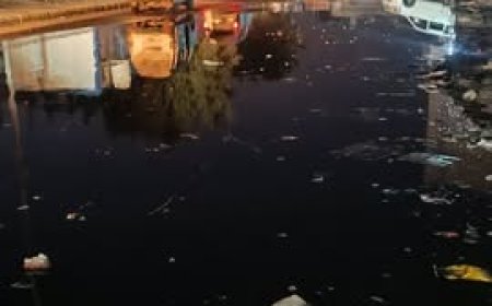 الممدارة بعدن تستغيث لإنقاذها من الإضرار الناجمة عن مياه الصرف الصحي