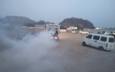 سلطة البريقة بعدن تدشن حملة رش ضبابي طارئة لمكافحة الحشرات الضارة الناقلة للأمراض والأوبئة