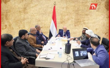 مستشار في الرئاسة: مجلس القيادة الرئاسي نجح في توحيد كافة القوى تحت مظلة واحدة