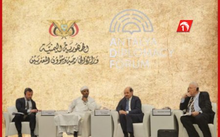 الزنداني يشارك في منتدى أنطاليا ويعقد لقاءات دبلوماسية