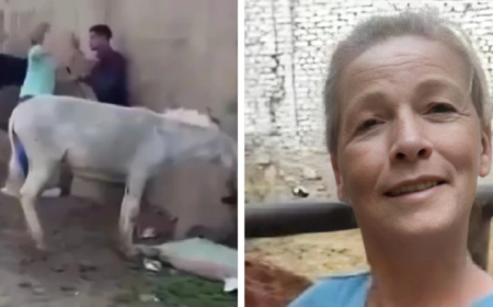 سيدة أجنبية تعتدي على شاب مصري .. و السبب حمار ! ( فيديو )