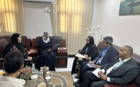 رئيس الجهاز المركزي للإحصاء تبحث مع مسؤولين في اليونيسف خطة الدعم وأوجه التعاون المشترك