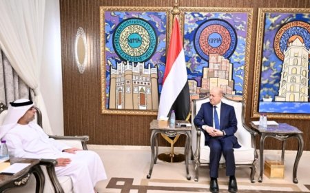 العليمي يبحث مع السفير الاماراتي جهود استعادة الدولة والدعم الاقتصادي للحكومة